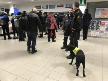 STIKKPRØVER: På flyplassen har politiet tatt stikkprøver av reisende og bagasje som kommer til øya. STIKKPRØVER: På flyplassen har politiet tatt stikkprøver av reisende og bagasje som kommer til øya.