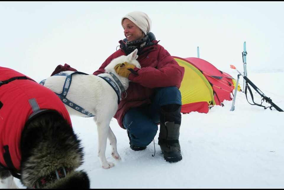 Katja Baum brukte 49 dager og tilbakela ca. 100 mil på ski da hun gikk Spitsbergen på langs.