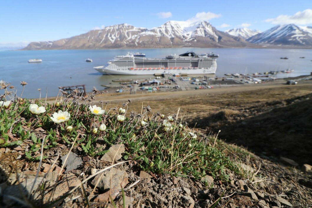 SÅRBART: Regjeringen vil nå utvide tungoljeforbudet til å gjelde hele Svalbard. I dag er dette forbudt å bruke i verneområder. Bildet er tatt i sankthanshelgen i år, da fem cruiseskip besøkte Longyearbyen samtidig. SÅRBART: Regjeringen vil nå utvide tungoljeforbudet til å gjelde hele Svalbard. I dag er dette forbudt å bruke i verneområder. Bildet er tatt i sankthanshelgen i år, da fem cruiseskip besøkte Longyearbyen samtidig.