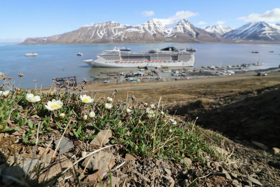 SÅRBART: Regjeringen vil nå utvide tungoljeforbudet til å gjelde hele Svalbard. I dag er dette forbudt å bruke i verneområder. Bildet er tatt i sankthanshelgen i år, da fem cruiseskip besøkte Longyearbyen samtidig.