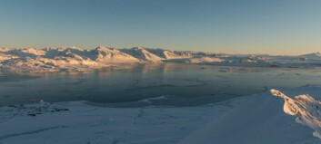 Endelig is på Kongsfjorden