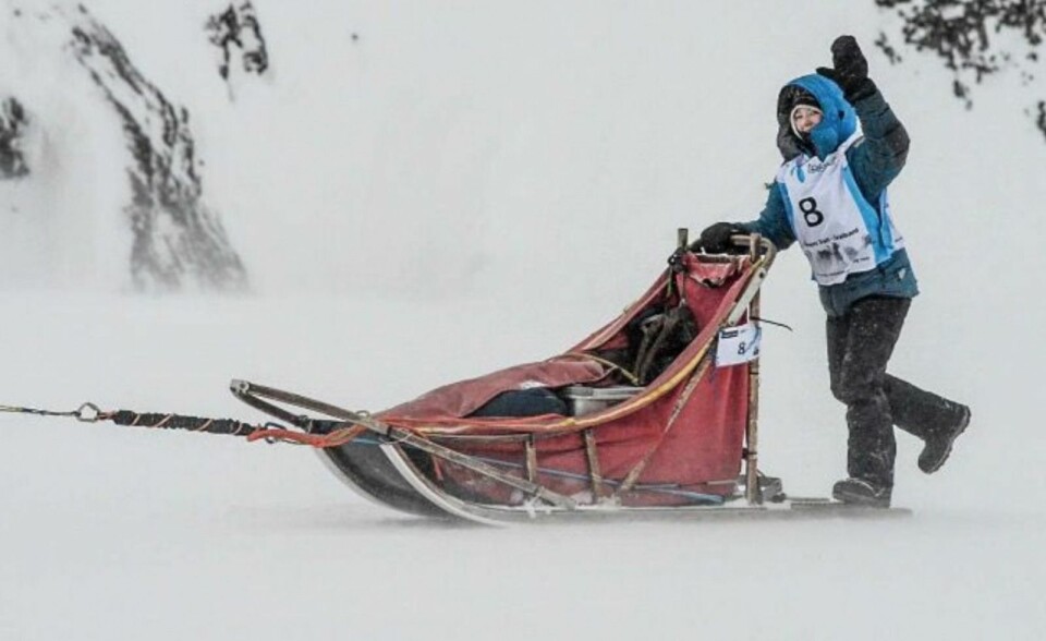 Sofia Berger (16) er en talentfull hundekjører. I går kveld mistet hun 8 hunder i Adventdalen, som det nå letes etter.