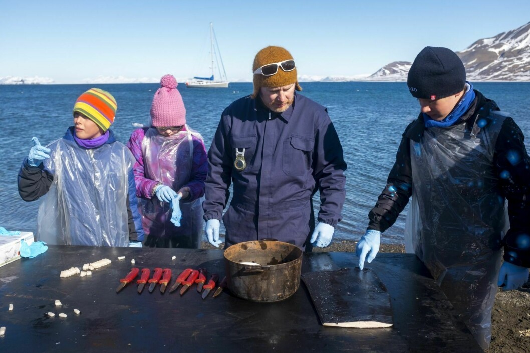 William Olsbakk Rønning (t.v.), Ida Steen og Michael Kuratov Gorter gjør seg klare til å skjære opp spekk til oljekoking sammen med konservator Sander Solnes fra Svalbard Museum.
