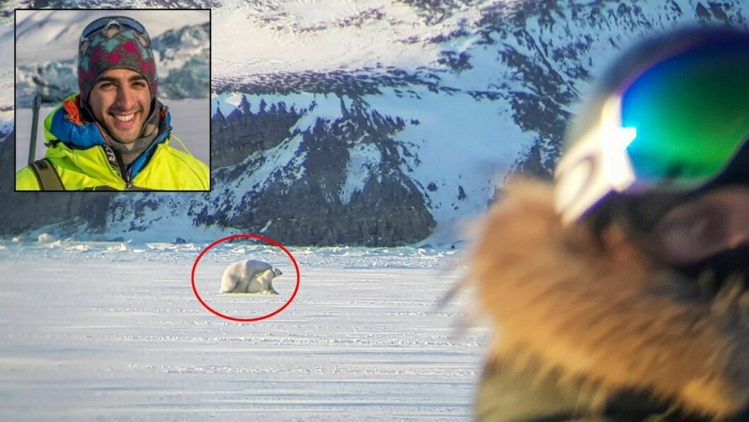 Her koser isbjørnene seg på den islagte fjorden andre påskedag. På tross av både ti og 15 kuldegrader, så de ut til å holde varmen.