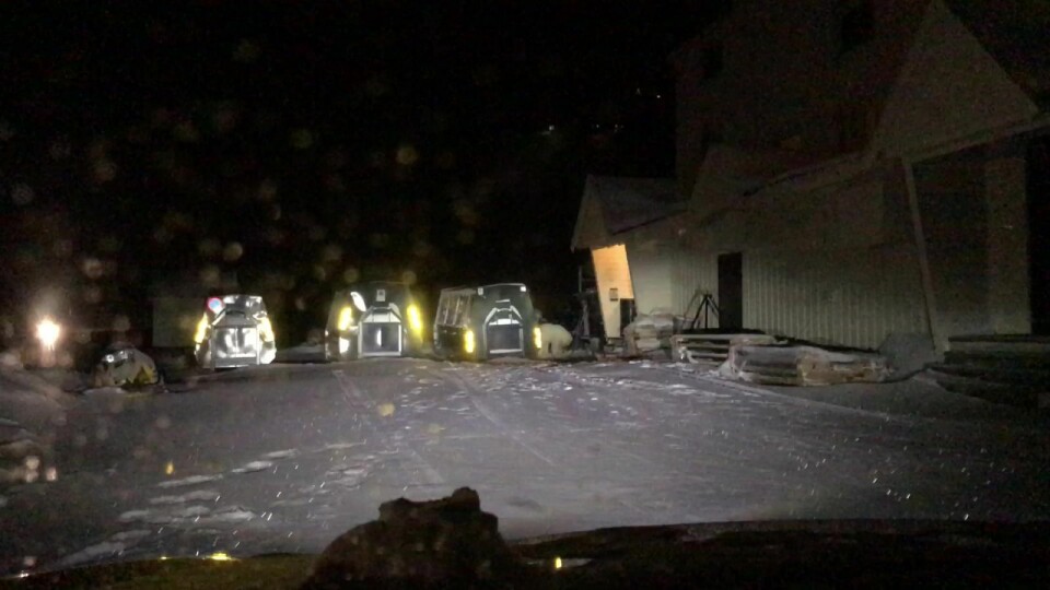 En isbjørn har vandret inne i Longyearbyen. Her står den ved personalinngangen til Huset. En isbjørn har vandret inne i Longyearbyen. Her står den ved personalinngangen til Huset.