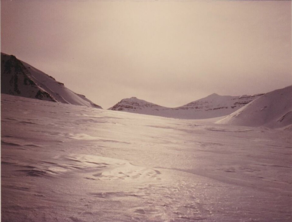 Mittag-Lefflerbreen.