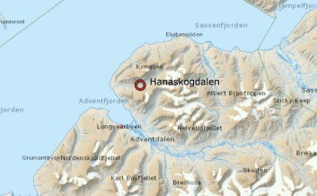 Isbjørnen ble skutt i Hanaskogdalen. Isbjørnen ble skutt i Hanaskogdalen.