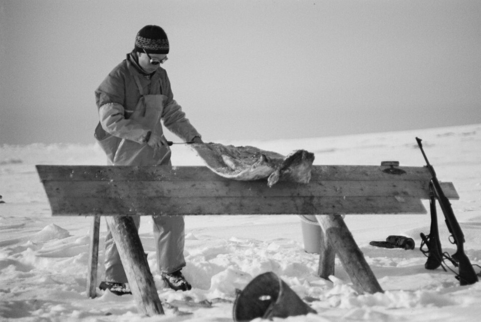 Marit Karlsen Brandal jobbar ved spekkbenken.
