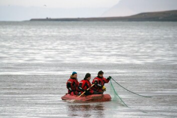 Seniorrådgiver Paul Lutnæs (til venstre i båten) forteller at hvalungen strevde en del, og kunne druknet om den ikke fikk hjelp.