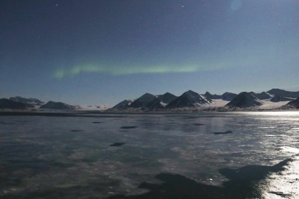 Kongsfjorden i klarvær, måneskinn, nordlys og nyfrossen is.