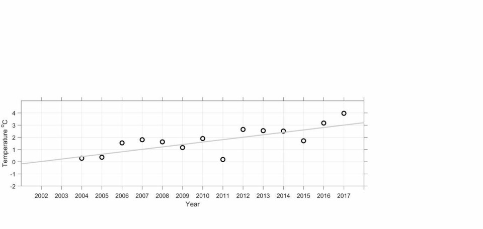 Figur: A: Temperaturprofil fra Billefjorden, Isfjorden og Kongsfjorden Januar 2020.