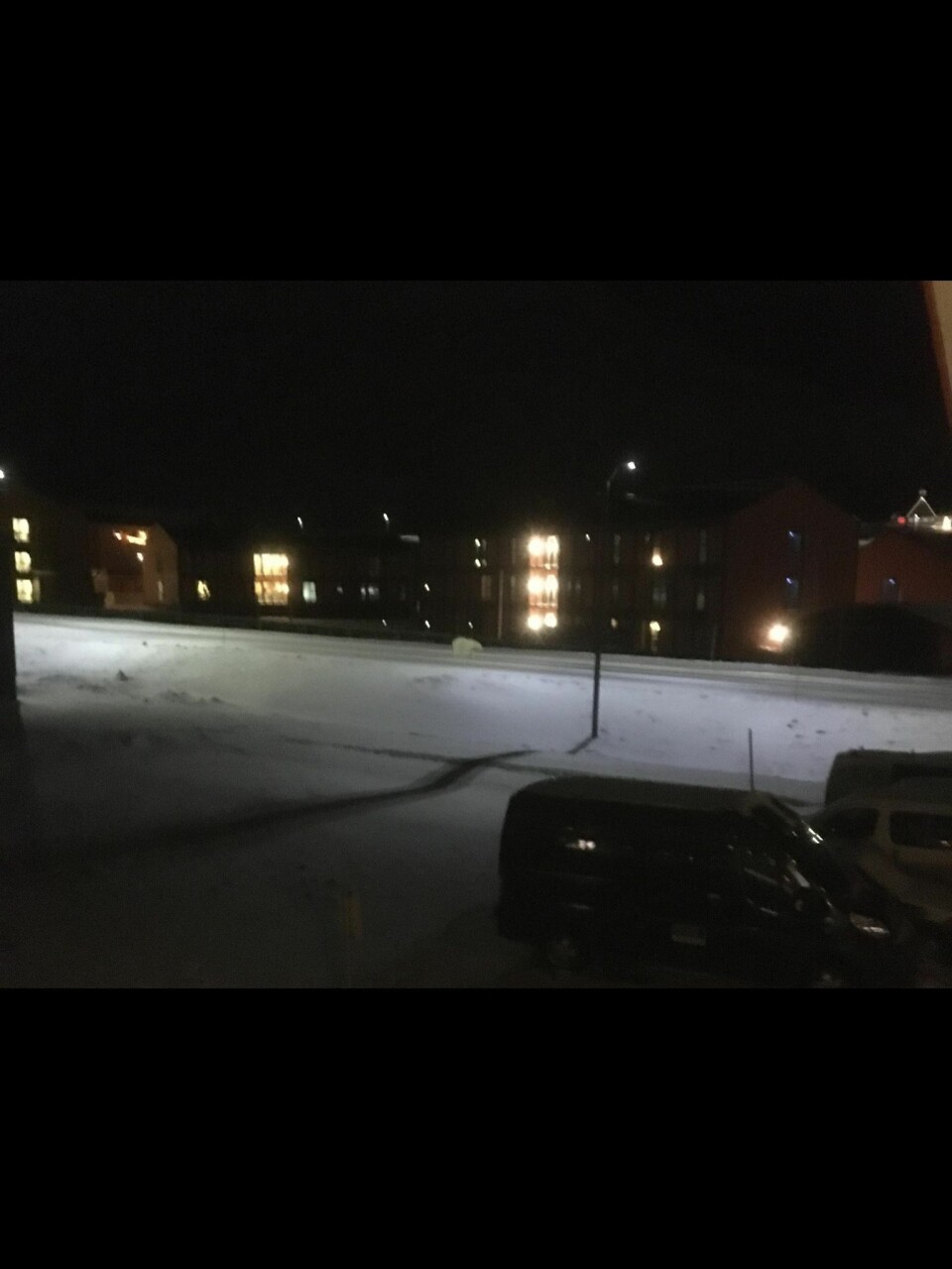 En isbjørn tok turen innom byen i jula. Flere hendelser og nærgående isbjørn vil kreve nye tiltak.