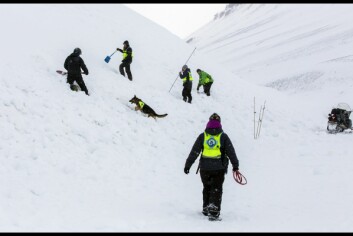 På bildet søker schæferen Grappa etter noen i snøen med forstyrrende elementer i skredområdet. En god del folk, samt en snøskuter på tomgang gjør oppdraget vanskeligere. På bildet søker schæferen Grappa etter noen i snøen med forstyrrende elementer i skredområdet. En god del folk, samt en snøskuter på tomgang gjør oppdraget vanskeligere.