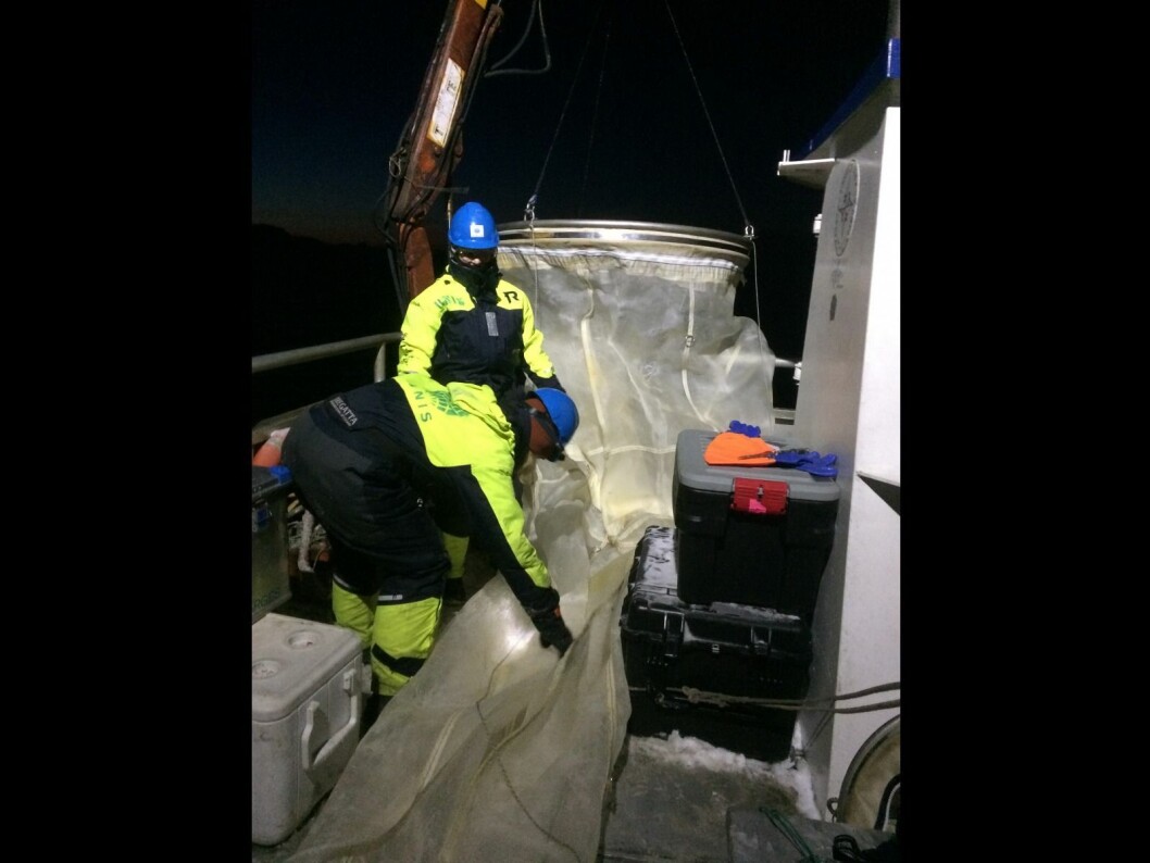 For å fange dyreplankton som krill og frittsvømmende tanglopper, trenger vi å tråle med store nett, og da er båten Farm som er utstyrt med kran og vinsj og opererer året rundt i Isfjorden en kjærkommen plattform. For å fange dyreplankton som krill og frittsvømmende tanglopper, trenger vi å tråle med store nett, og da er båten Farm som er utstyrt med kran og vinsj og opererer året rundt i Isfjorden en kjærkommen plattform.