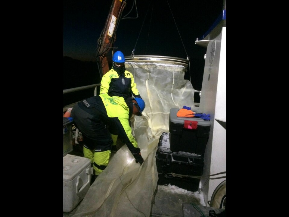 For å fange dyreplankton som krill og frittsvømmende tanglopper, trenger vi å tråle med store nett, og da er båten Farm som er utstyrt med kran og vinsj og opererer året rundt i Isfjorden en kjærkommen plattform.