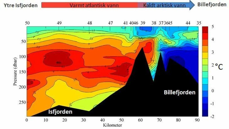 Fra Isfjorden i desember 2015 som var den høsten med mye regn og varme temperaturer. Her sees tydelig betydningen av terskel for å sperre det varme, atlantiske vannet ute i Billefjorden.