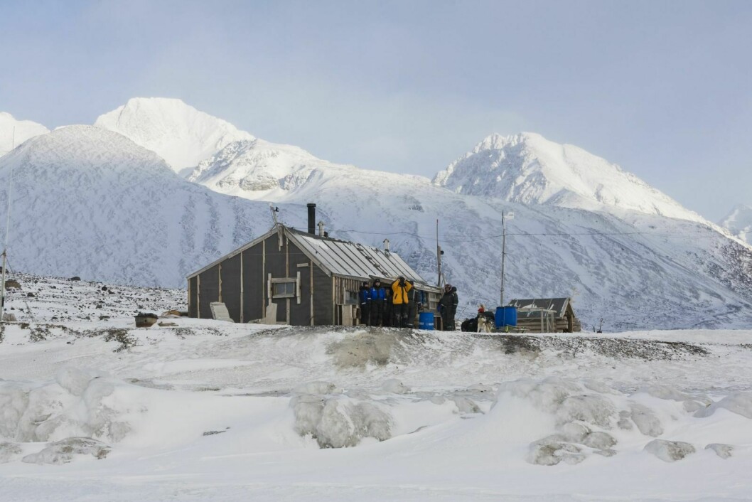 Fangststasjonen Austfjordnes ble bygget i 1931. Sesongene 2017/2018 og 2018/2019 er stasjonen uten fangstfolk på grunn av reprasjoner.