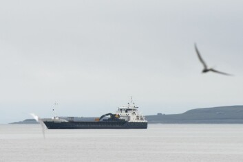 Skipet Rignator ligger nå utenfor Longyearbyen og venter på å laste av stein som skal brukes til elvesikring. Den første leveransen er på cirka 2500 tonn stein. Innen 1. september skal etter planen 10.000 tonn stein ligge klar på Kullkaia.