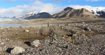 Sørsiden av Adolfbukta. Personen i forgrunnen står på spor etter isbreen: lave, avlange rygger og store steiner som er spredt ut over landskapet. Disse lave ryggene er dannet under isen, mens de store steinene er blitt transportert inne i eller på breens overflate. I bakgrunnen sees en mørk brefront: sand, grus og stein som har rast ned på breen lengre inne i landet har blitt transportert med breen ut til Adolfbukta. Sørsiden av Adolfbukta. Personen i forgrunnen står på spor etter isbreen: lave, avlange rygger og store steiner som er spredt ut over landskapet. Disse lave ryggene er dannet under isen, mens de store steinene er blitt transportert inne i eller på breens overflate. I bakgrunnen sees en mørk brefront: sand, grus og stein som har rast ned på breen lengre inne i landet har blitt transportert med breen ut til Adolfbukta.