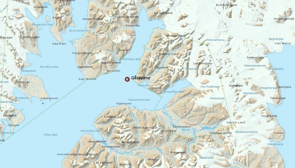 Gåsøyane ligger ved inngangen til Billefjorden.