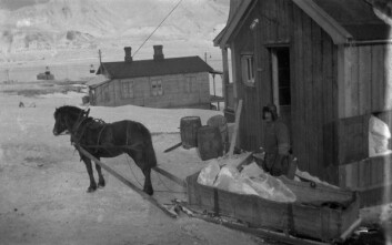 Dette bildet stod på trykk i avis nr. 39 18.oktober 2018, og inspirerte Einar Sverdrup til å sende oss mer informasjon om Blåhuset. Vi tas tilbake til en tid hvor hestene var en essensiell del av transporteringen, og sørget for at isen ble levert.