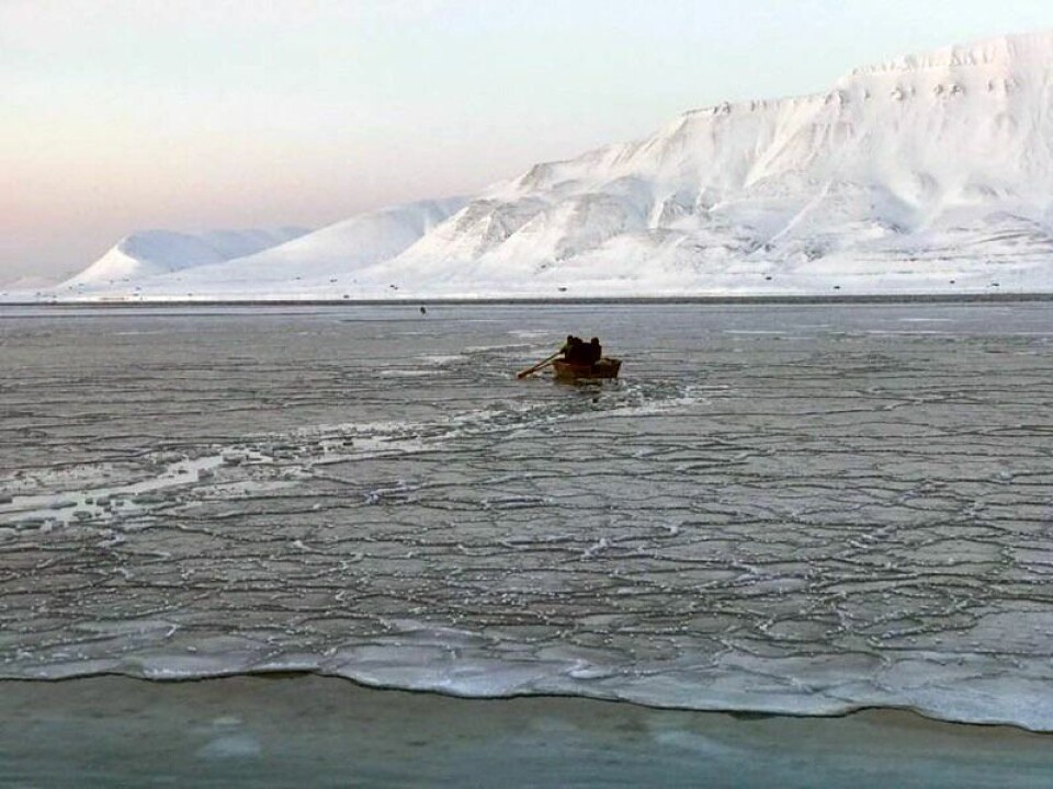 De som reddet kalven måtte knuse seg gjennom is for å komme til den.