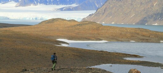 Fremtidens reiseliv på Svalbard – fra visjon til virkelighet