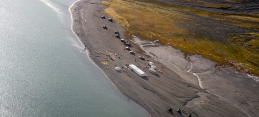 Det blir Camp Svalbard - I alle fall til høsten