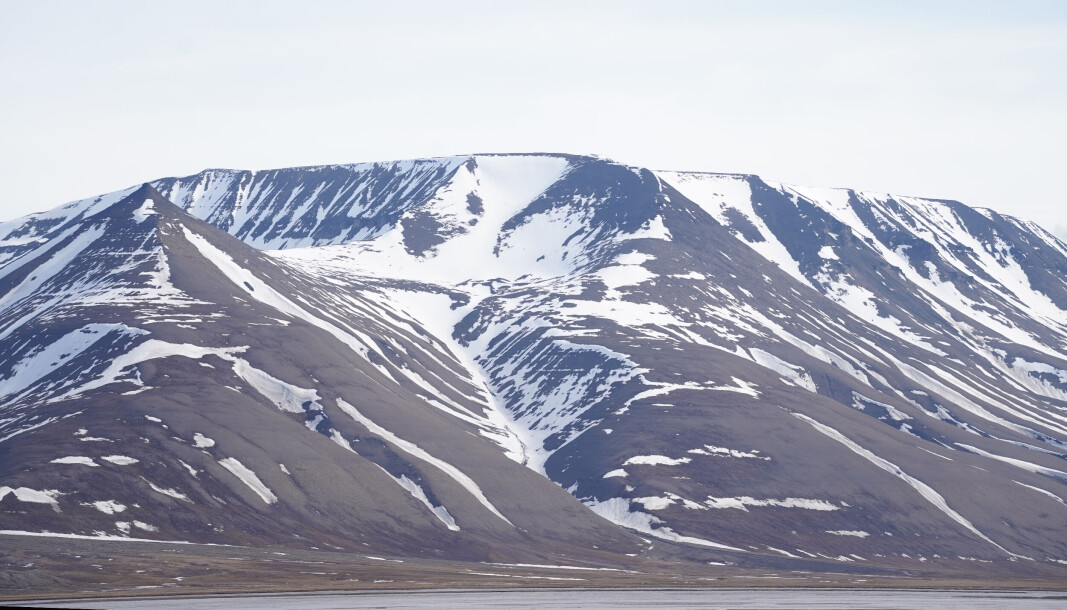 Stetten: Snøen smelter og Stetten-konkurransen er i gang. Aldri før har konkurransen blitt annonsert så tidlig. Stetten: Snøen smelter og Stetten-konkurransen er i gang. Aldri før har konkurransen blitt annonsert så tidlig.