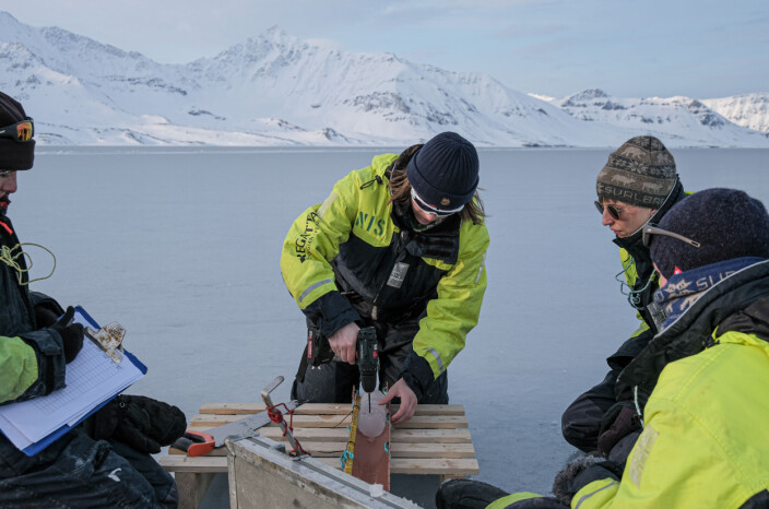 Iskjerneprøvetaking i St. Johnsfjorden for å måle temperatur og saltinnhold i sjøisen. Iskjerneprøvetaking i St. Johnsfjorden for å måle temperatur og saltinnhold i sjøisen.