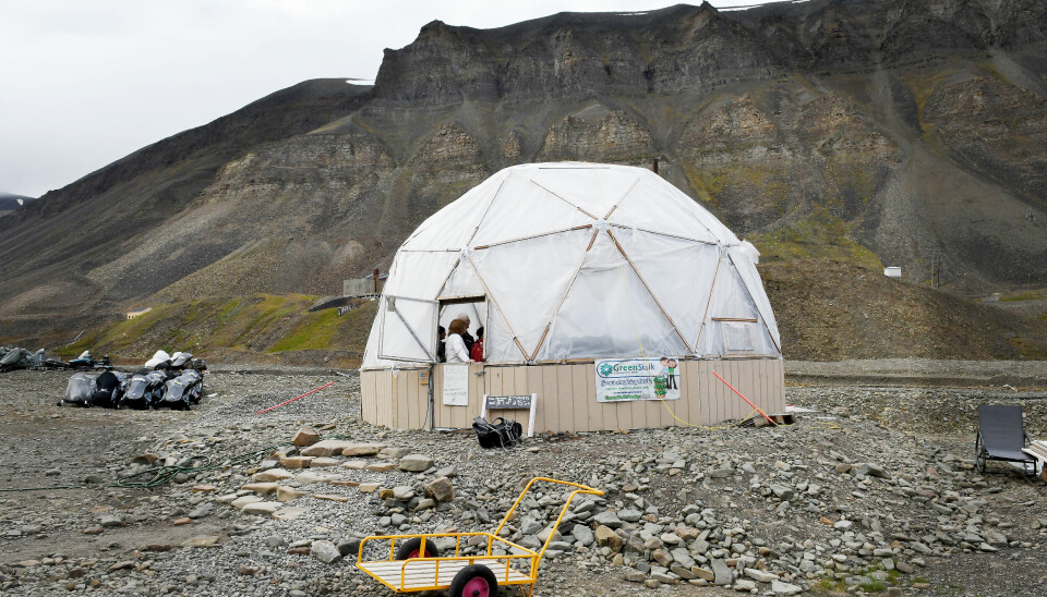 Benjamin Vidmar dyrket urter og grønnsaker i dette teltet med med sitt firma Polar Permaculture Solutions .