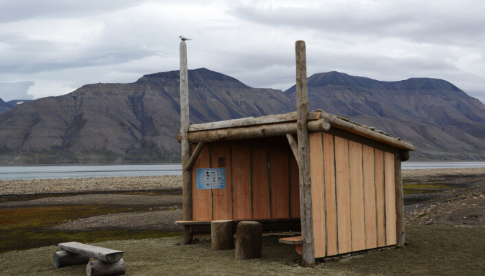 Dette er det nye vindskjulet ved campingsplassen. Dette er det nye vindskjulet ved campingsplassen.