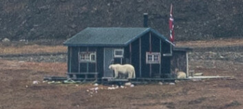 Isbjørnene raidet Green dog-hytta én gang til