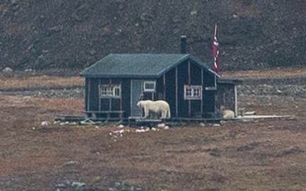 Isbjørnene raidet Green dog-hytta én gang til