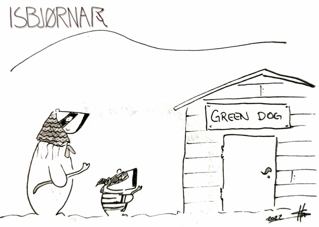 «Frost» og årsungen hennes har raidet «Green Dog»-hytta ved Gruve 7 flere ganger den siste uken. Eierne fortviler, men Sysselmesteren sier at de materielle ødeleggelsene ikke er store nok til å beordre avliving.