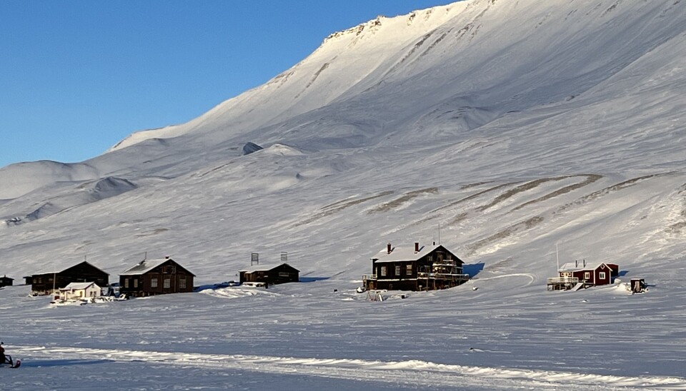 De to bjørnene er observert på Hiorthhamn. De to bjørnene er observert på Hiorthhamn.