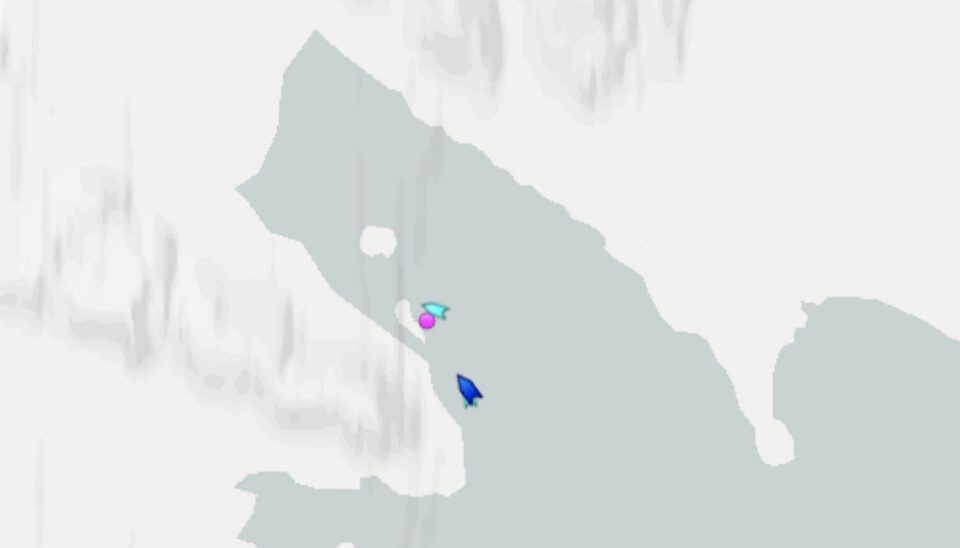 «Isbjørn 2» er markert med rosa prikk, «Fjordsyssel» turkis og «Nordstjernen» blå i Borebukta mandag kveld.