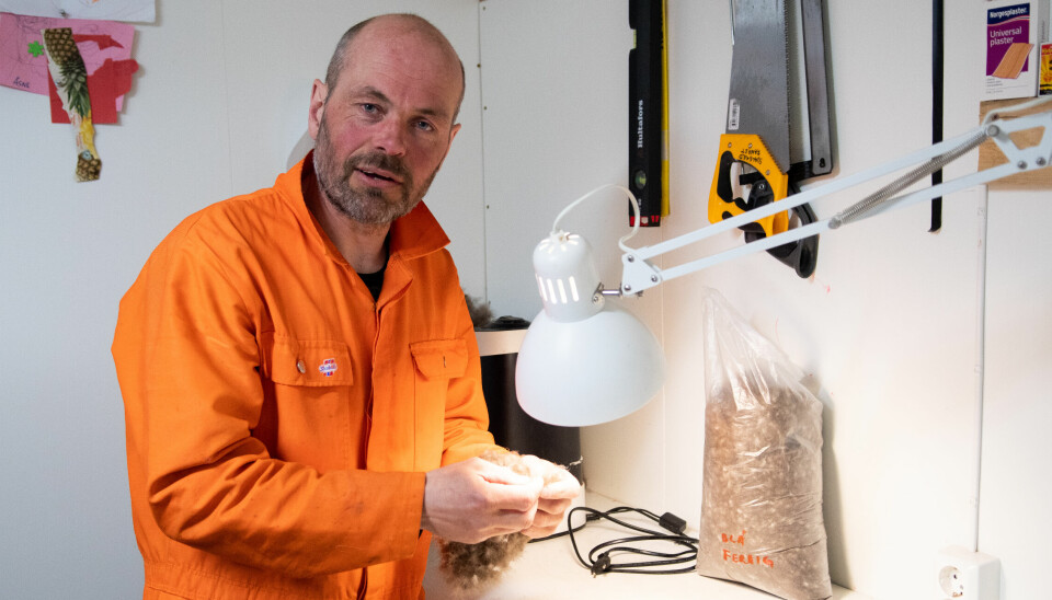 Fangstmann Tommy Sandal var tidligere denne måneden i Longyearbyen. Her renser dun og foredler fangsten. Sandal har flere råd til hvordan folk kan unngå isbjørn-besøk.