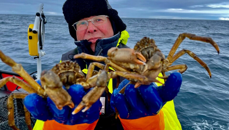 Seniorforskar ved Nofima, Sten Siikavuopio, er svært positiv til at Svalbard skal nytte seg av den kortreiste ressursen snøkrabbe. Seniorforskar ved Nofima, Sten Siikavuopio, er svært positiv til at Svalbard skal nytte seg av den kortreiste ressursen snøkrabbe.