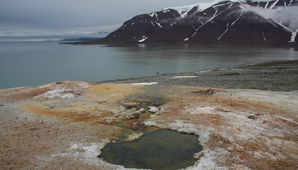 En varm kilde i Bockfjorden der naturlig varmt vann strømmer ut av permafrostlandskapet.