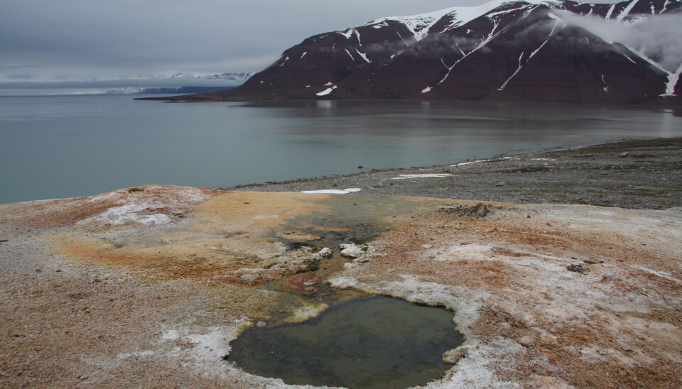 En varm kilde i Bockfjorden der naturlig varmt vann strømmer ut av permafrostlandskapet. En varm kilde i Bockfjorden der naturlig varmt vann strømmer ut av permafrostlandskapet.