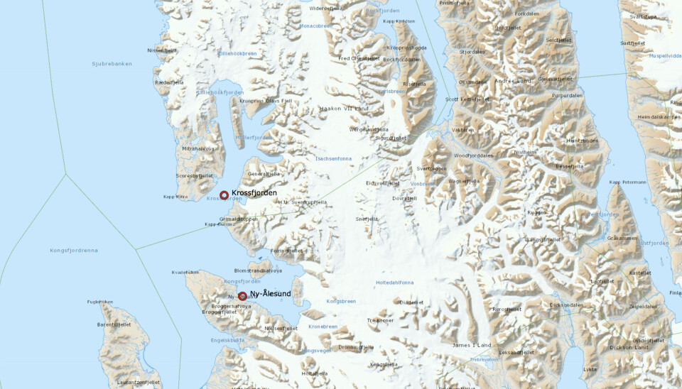 Isbjørnen ble skutt da den forsøkte å ta seg inn i en hytte ved Krossfjorden nord for Ny-Ålesund.