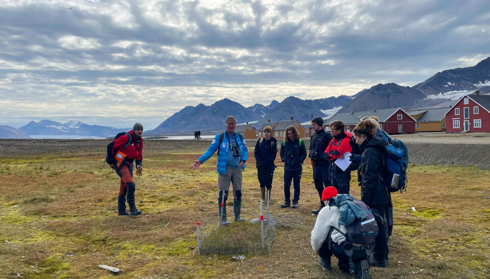 Unis-studenter var på kurs i Ny-Ålesund i august. Professor Maarten Loonen fortalte om hvitkinngås og dyreliv. Unis-studenter var på kurs i Ny-Ålesund i august. Professor Maarten Loonen fortalte om hvitkinngås og dyreliv.