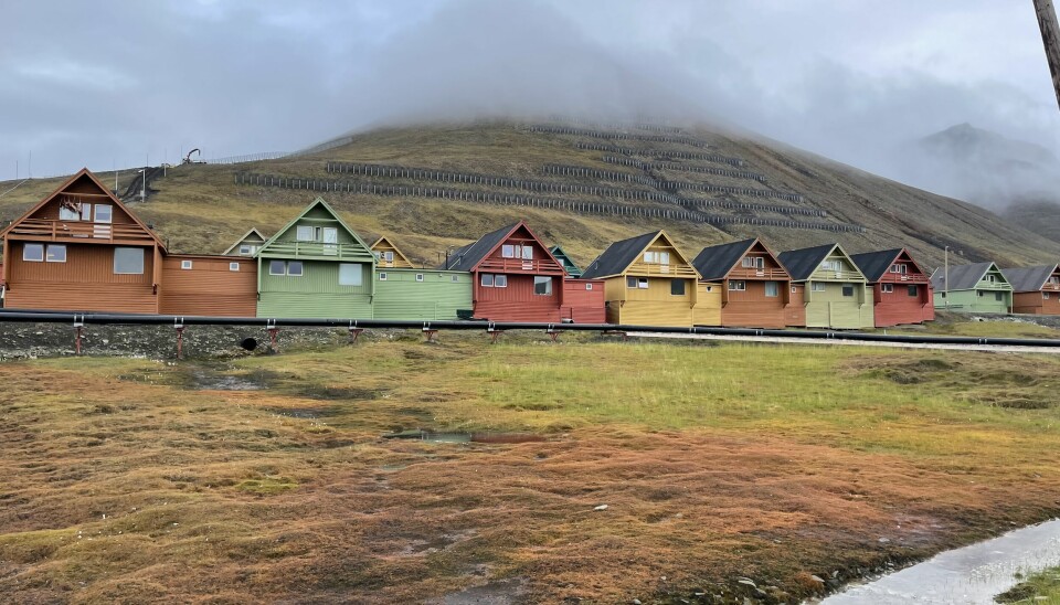Oransje høstfargene preget Longyearbyen 12. september. Senere, samme kveld, falt snøen.