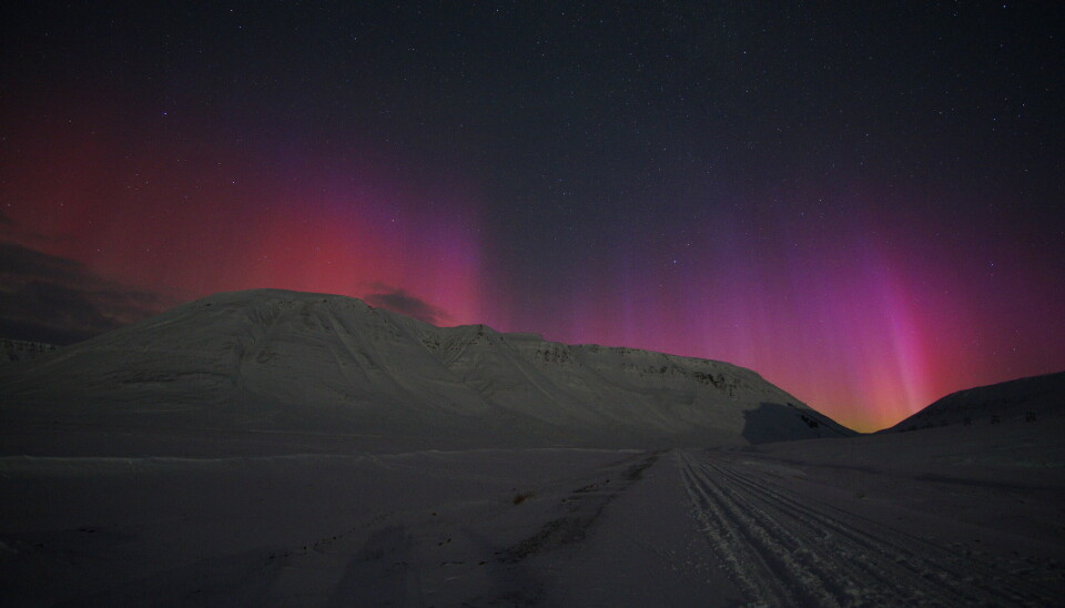 I går kveld var det fantastisk rosa lys over Svalbard. Det la flere merke til.