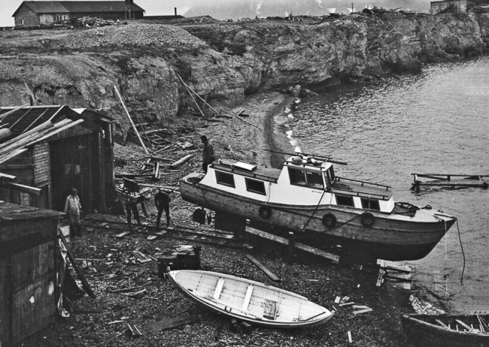 Salterella I i Ny-Ålesund i 1965.