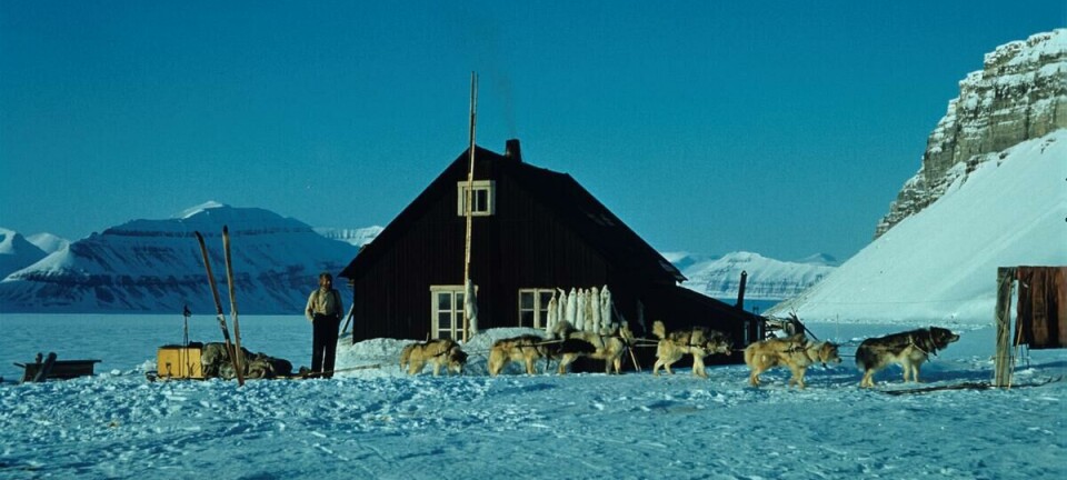 – Et løfte til hundene