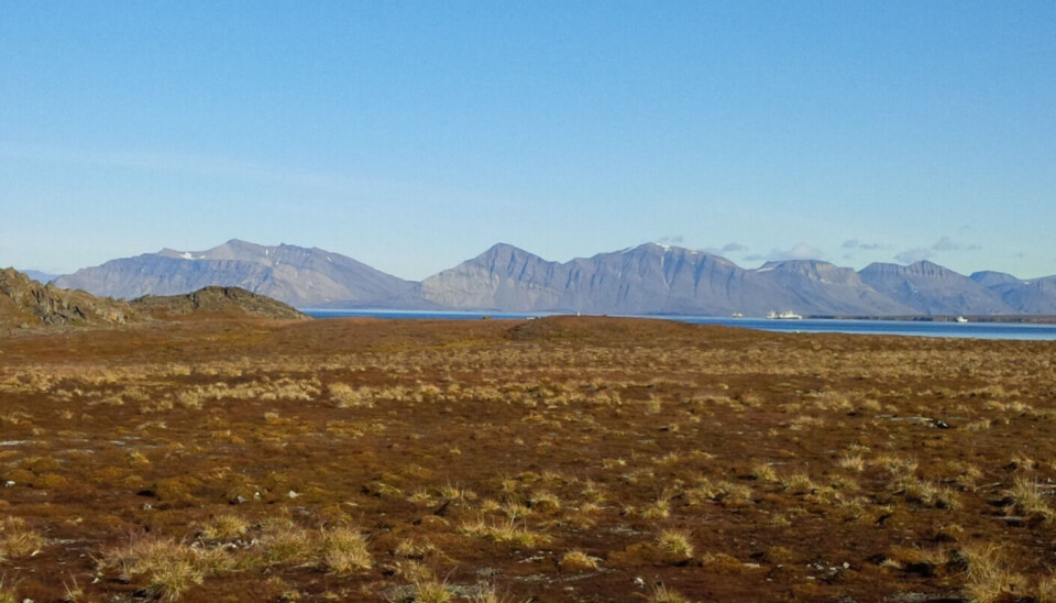 Søre Fagerfjord eies av AS Kulspids. Nå er kjempeeiendommen til salgs.