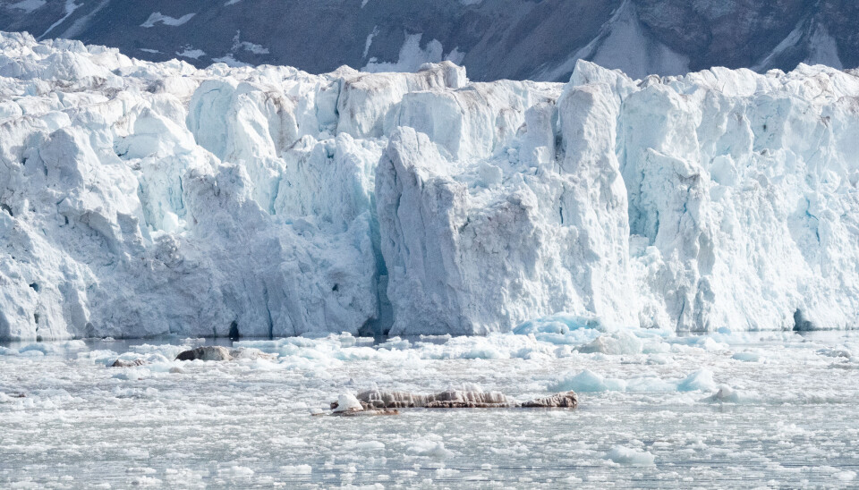 I juni 2024 hadde både Kongsvegen og Kronebreen trukket seg såpass tilbake at de nesten har skilt lag.
