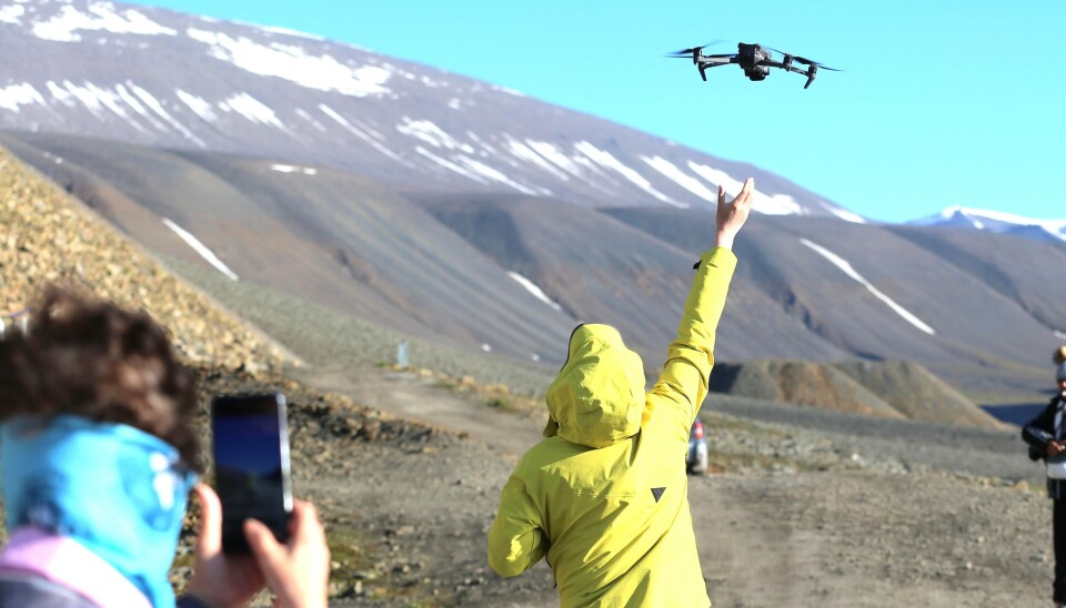 Mannen brukte rundt 10 minutter med drone til å skaffe seg levende bilder av fuglelivet i Bjørndalen.